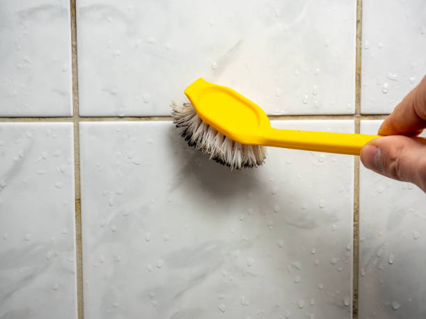 Best Professional Mold Removal  in Huntington Woods, MI