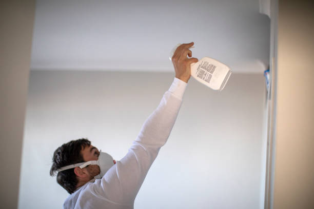 Best Water Damage Restoration  in Huntington Woods, MI