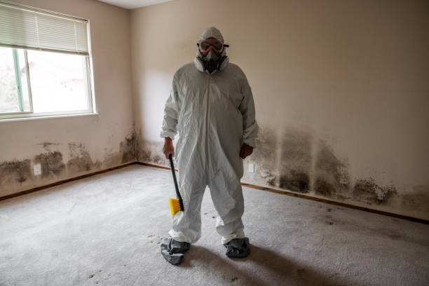 Best Mold Testing  in Huntington Woods, MI